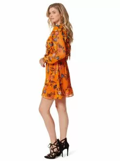 OJG Clothing Barry Dress In Sunskissed Floral