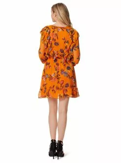 OJG Clothing Barry Dress In Sunskissed Floral