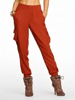 OJG Clothing Soft Utility Pant In Arabian Spice