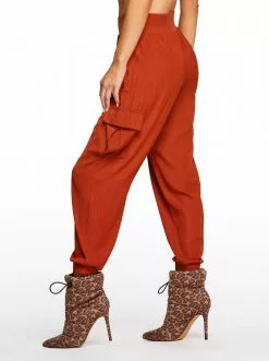 OJG Clothing Soft Utility Pant In Arabian Spice