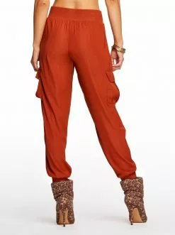 OJG Clothing Soft Utility Pant In Arabian Spice